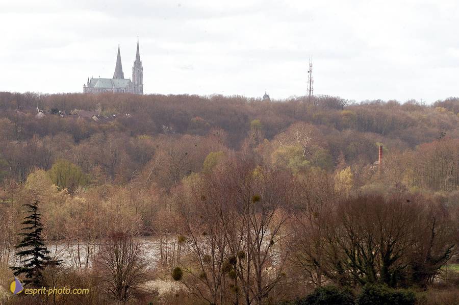 Nom de l'image : D1120177-01_(c)Norbert-JUNG — Description :  PËlerinage de Chartres 2004